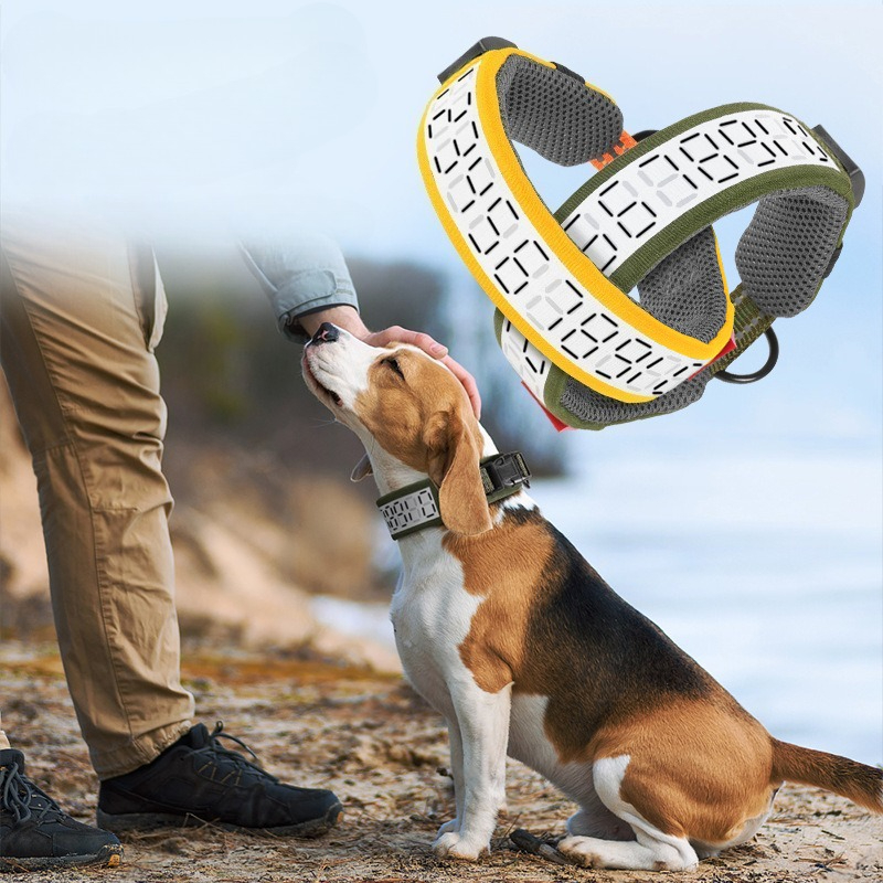 Outdoor Hunting Dog Collar - 대형견용 야외 반사 개 목걸이, 래브라도