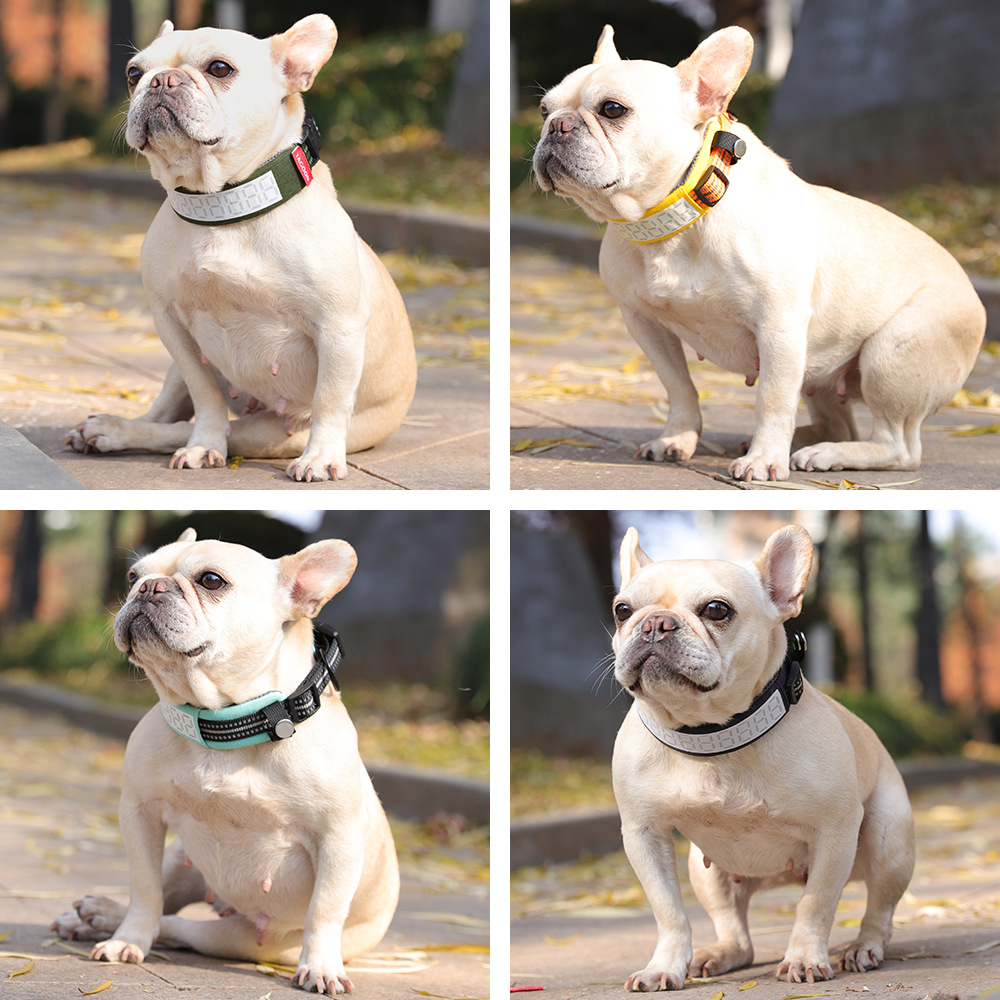 Outdoor Hunting Dog Collar - 대형견용 야외 반사 개목걸이, 래브라도 사냥