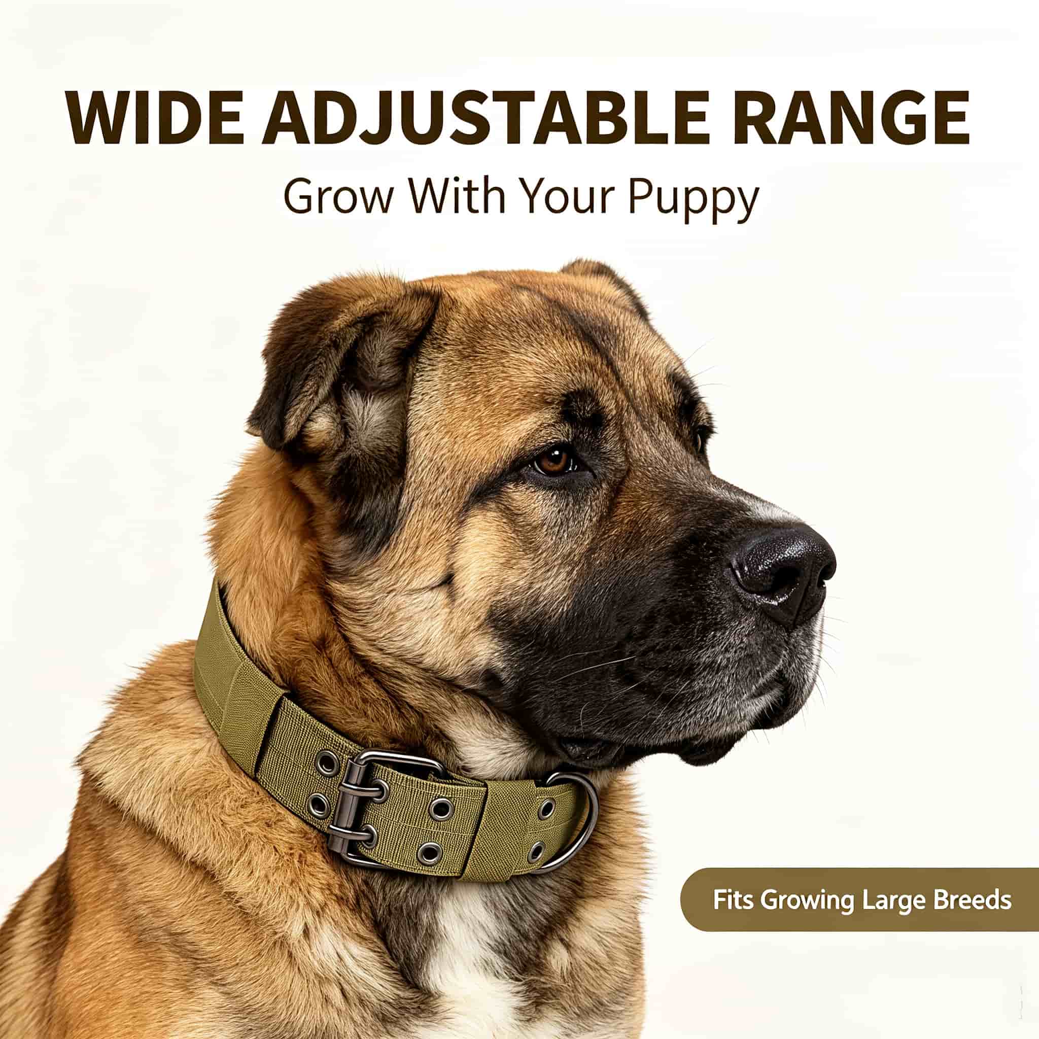 카모 전술용 개 목걸이, 헤비 듀티 나일론 조절 가능  - Outdoor Hunting Dog Collar 리뷰 및 가격