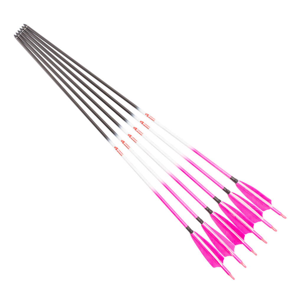 링크보이 아처리 카본 화살 SP800 ID6.2mm 3 - Arrow Carbon Shaft 리뷰 및 가격