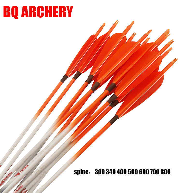 양궁용 카본 화살, 칠면조 깃털, 플라스틱 노크, 사냥 - Arrow Carbon Shaft 리뷰 및 가격