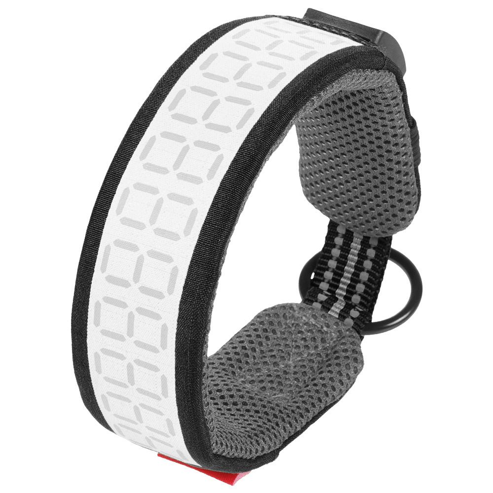 대형견용 야외 반사 개 목걸이, 래브라도 사냥 활동견용 - Outdoor Hunting Dog Collar 리뷰 및 가격