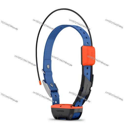 야외 애완동물 위치 추적 장비, 사냥 안전 액세서리,  - Outdoor Hunting Dog Collar 리뷰 및 가격