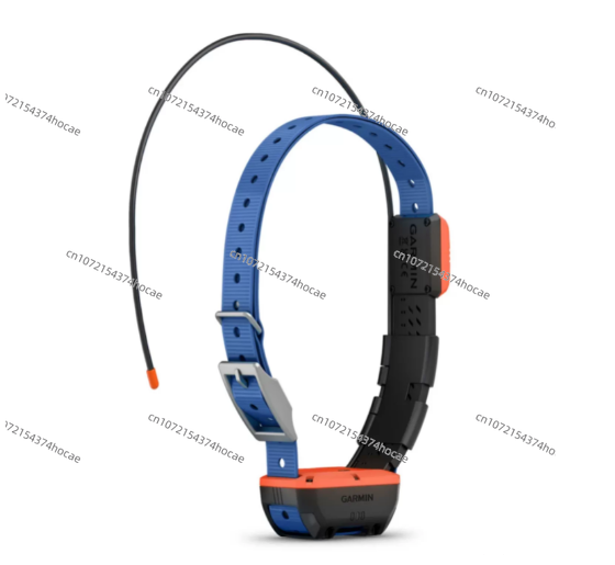 야외 애완동물 위치 추적 장비, 사냥 안전 액세서리,  - Outdoor Hunting Dog Collar 리뷰 및 가격
