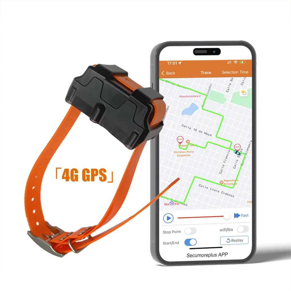 CY09A 휴대용 애완동물 GPS 추적기 4000mAh - Outdoor Hunting Dog Collar 리뷰 및 가격
