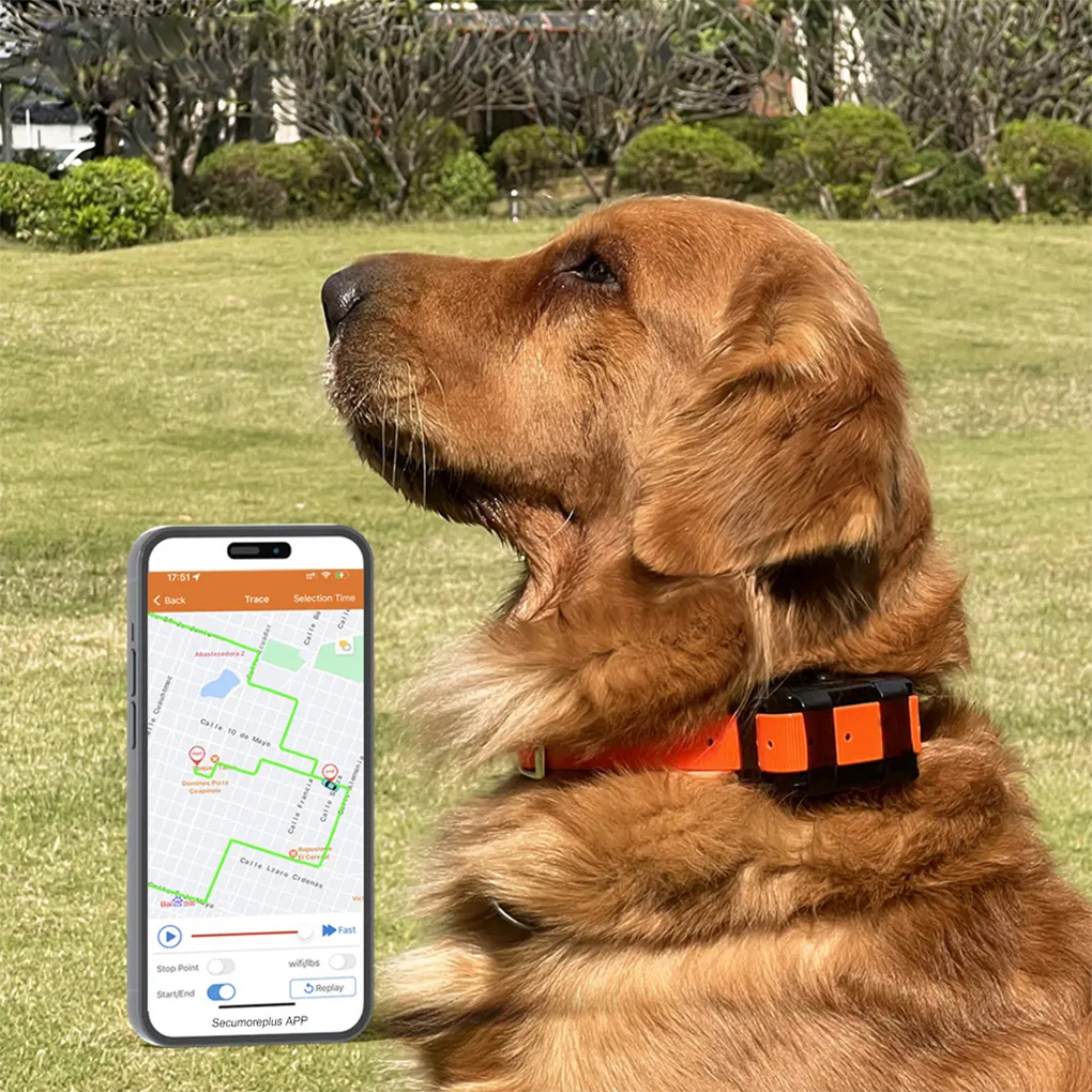 CY09A 휴대용 애완동물 GPS 추적기 4000mAh - Outdoor Hunting Dog Collar 리뷰 및 가격