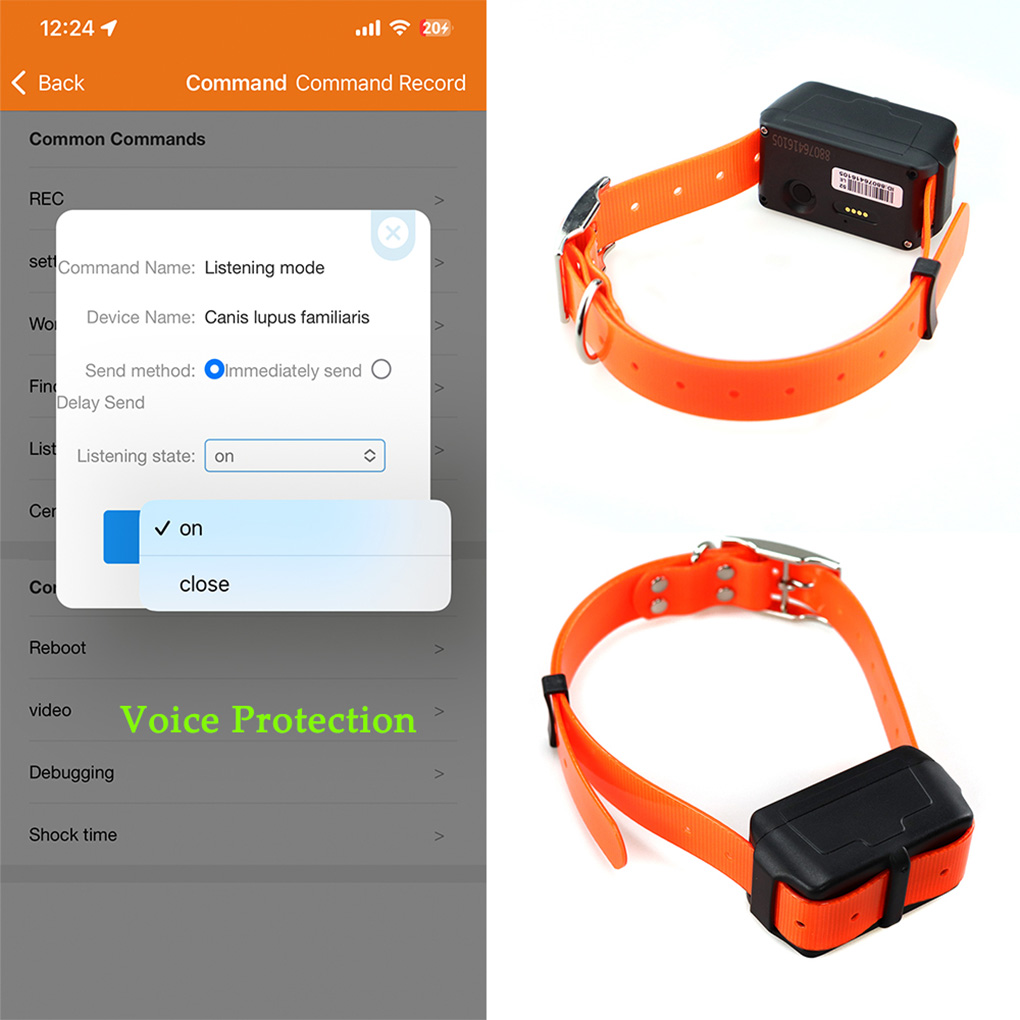 CY09A 휴대용 애완동물 GPS 추적기 4000mAh - Outdoor Hunting Dog Collar 리뷰 및 가격