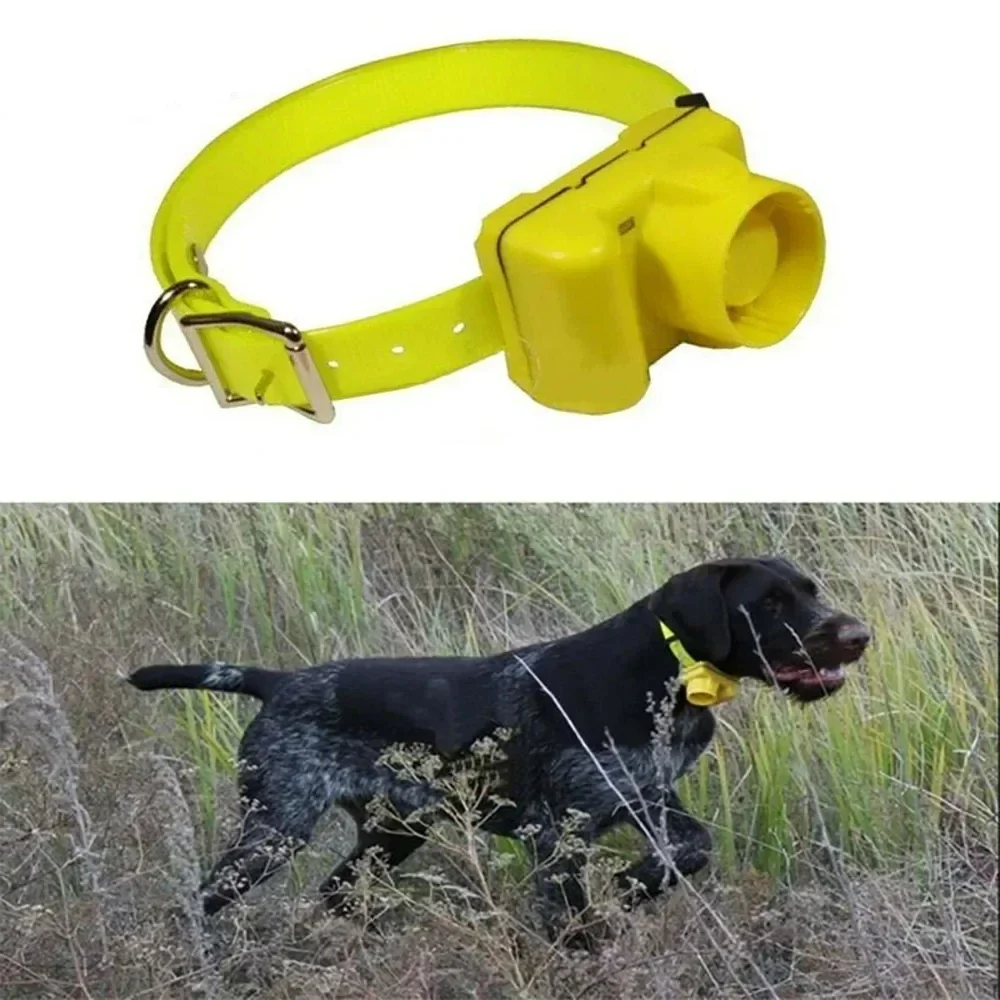 업데이트된 야외 사냥견 비퍼 목걸이, 방수 부저 추적  - Outdoor Hunting Dog Collar 리뷰 및 가격