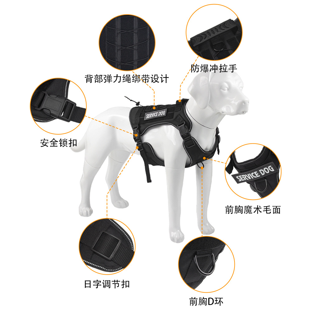 중대형견용 전술 노풀 도그 하네스, 조절 가능한 군사  - Outdoor Hunting Dog Collar 리뷰 및 가격
