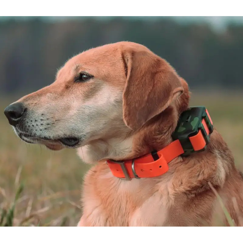 ICAR IK122M 2000mah 칼라형 4G GPS - Outdoor Hunting Dog Collar 리뷰 및 가격