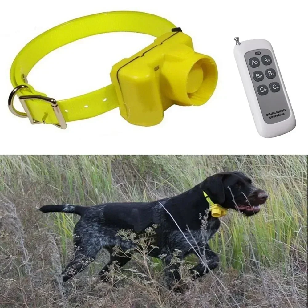업데이트된 방수 사냥개 비퍼 목걸이, 8가지 모드 야외 - Outdoor Hunting Dog Collar 리뷰 및 가격