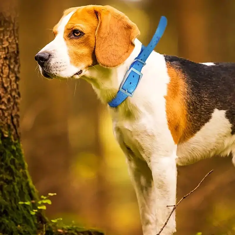 TPU 야외 애완동물 안전 목걸이 - 야간 반사 사냥개 - Outdoor Hunting Dog Collar 리뷰 및 가격
