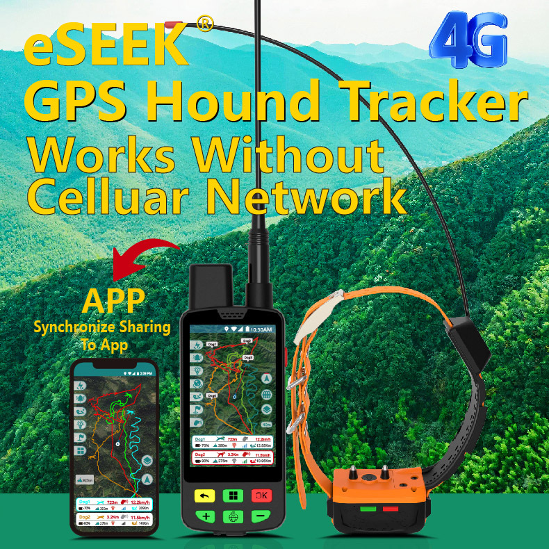 도매 4G GPS 개 목걸이 및 훈련 모드 실시간 추적 - Outdoor Hunting Dog Collar 리뷰 및 가격