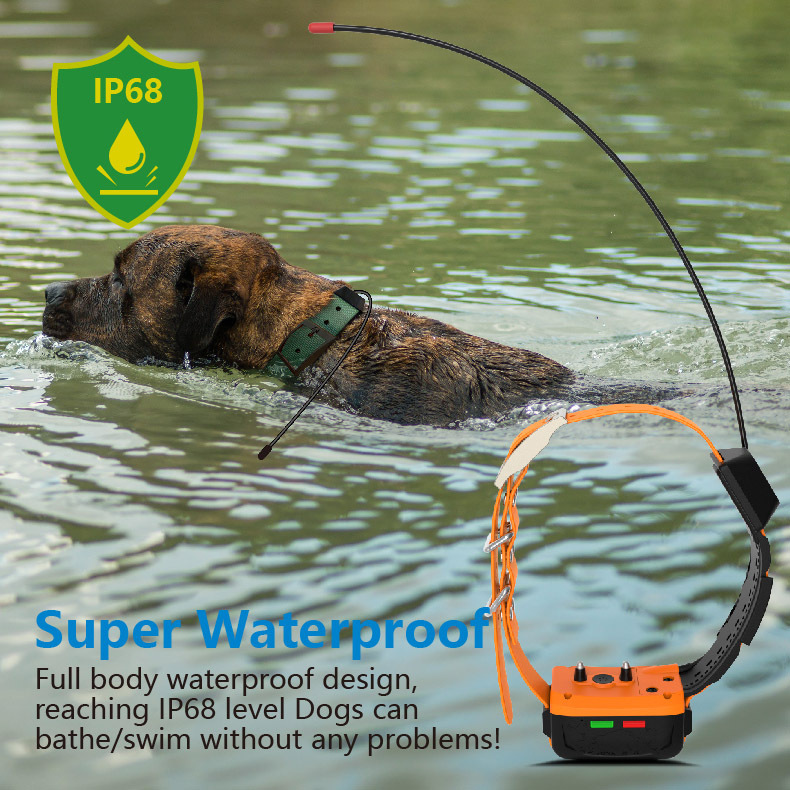 도매 4G GPS 개 목걸이 및 훈련 모드 실시간 추적 - Outdoor Hunting Dog Collar 리뷰 및 가격